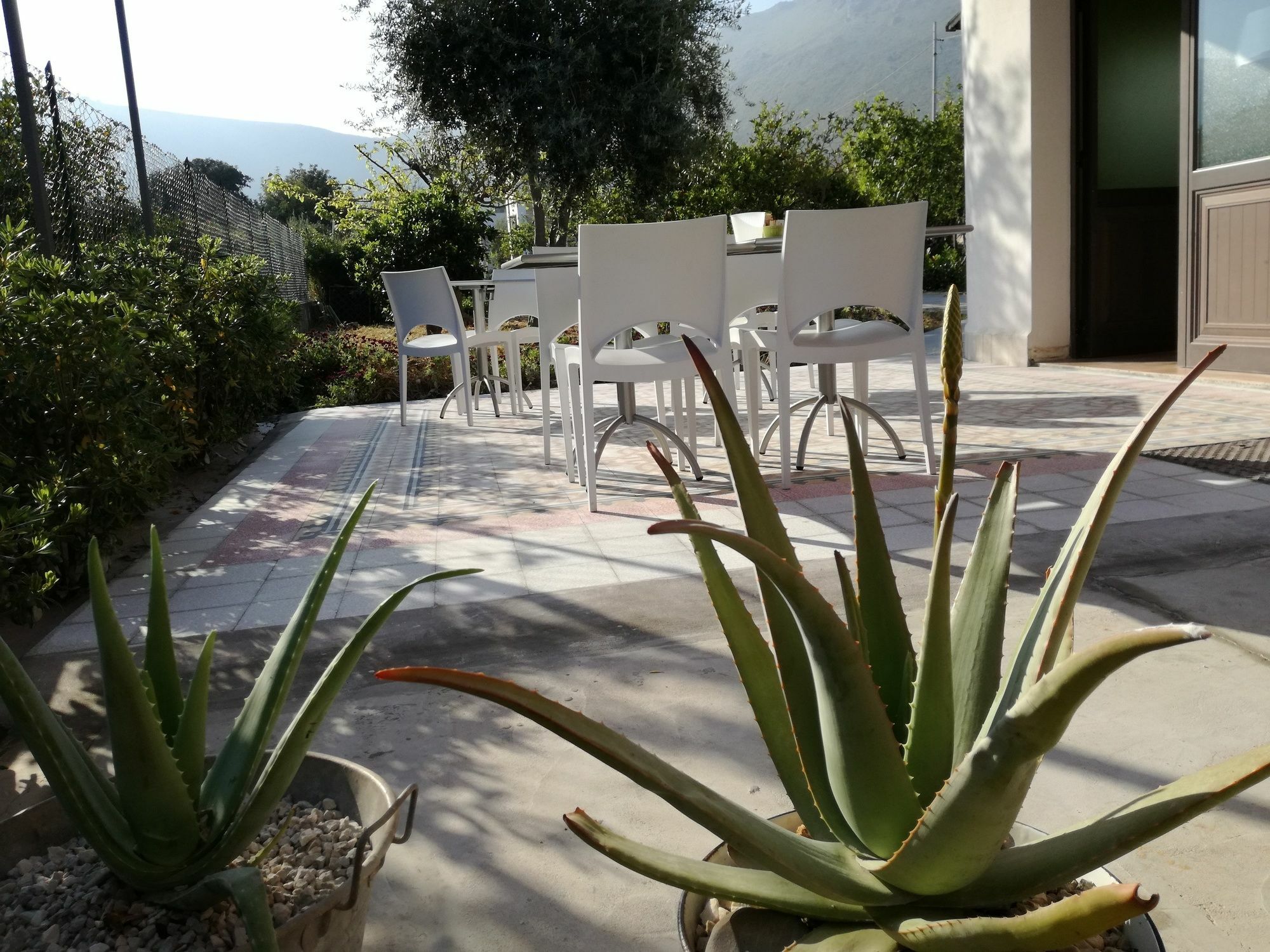 Miss Sicily B&B Terrasini Exterior photo